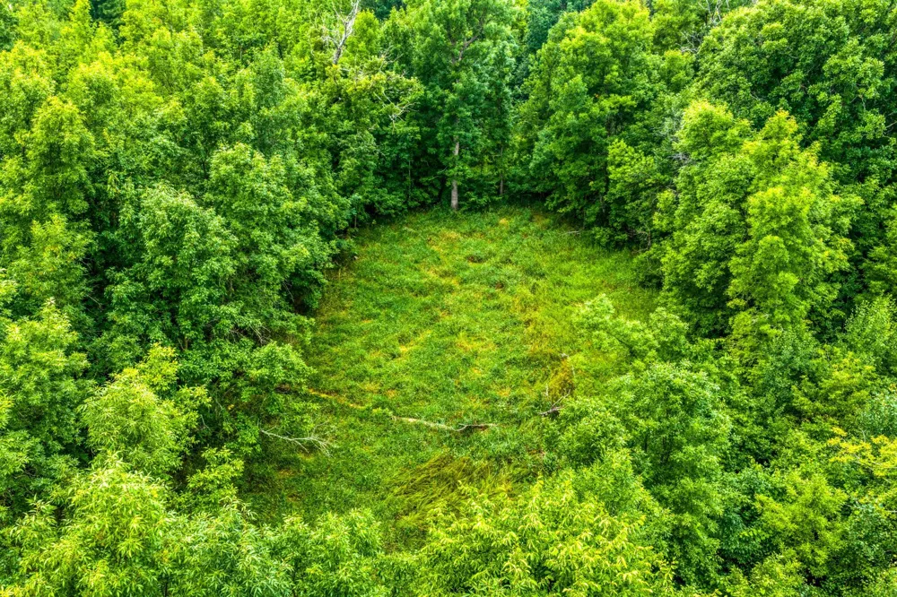 2432 Blackbird Road NE Cass Lake, MN 56633