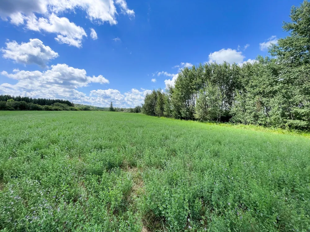 46635 S Pine Lake Road Gonvick, MN 56644