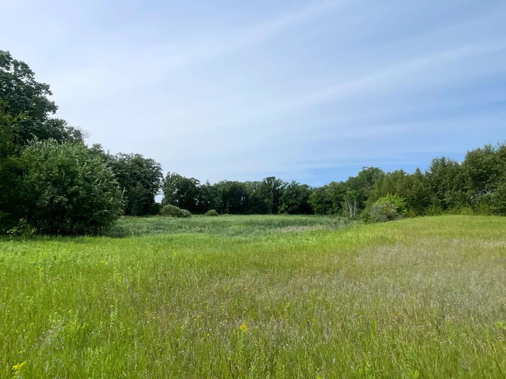 46635 S Pine Lake Road Gonvick, MN 56644