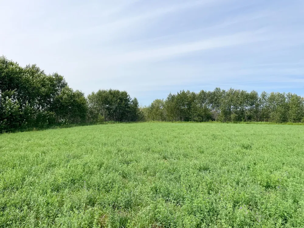 46635 S Pine Lake Road Gonvick, MN 56644