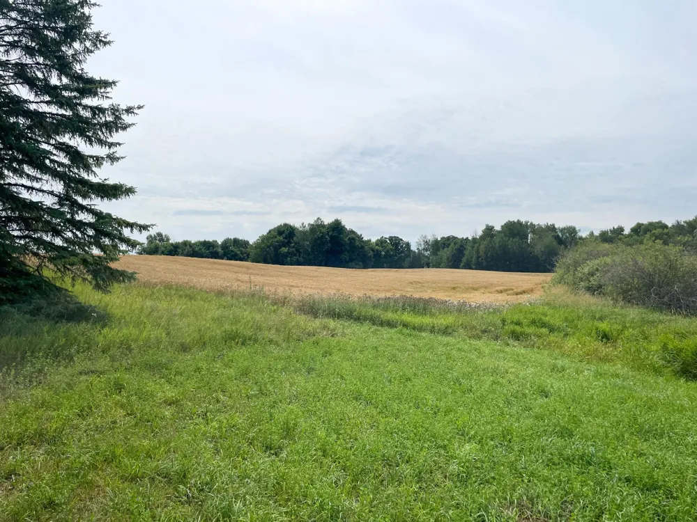 46635 S Pine Lake Road Gonvick, MN 56644