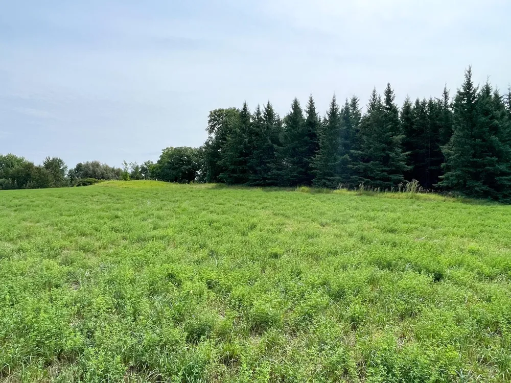 46635 S Pine Lake Road Gonvick, MN 56644