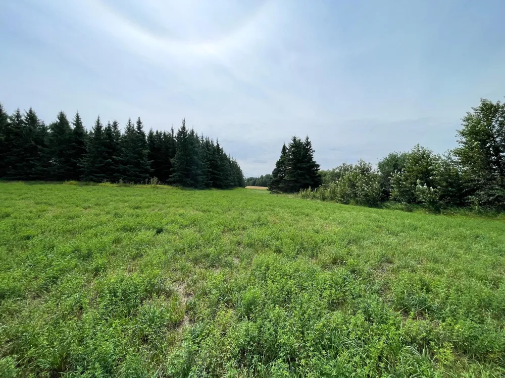 46635 S Pine Lake Road Gonvick, MN 56644