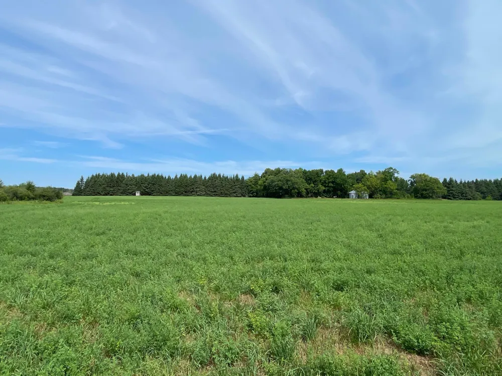 46635 S Pine Lake Road Gonvick, MN 56644