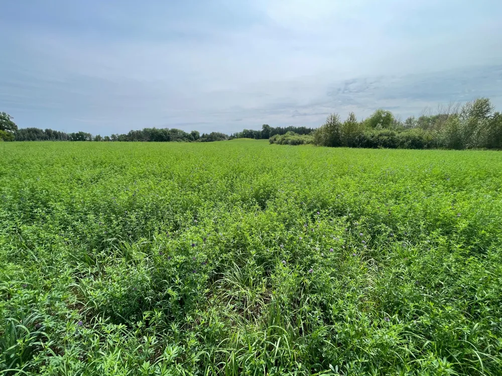 46635 S Pine Lake Road Gonvick, MN 56644
