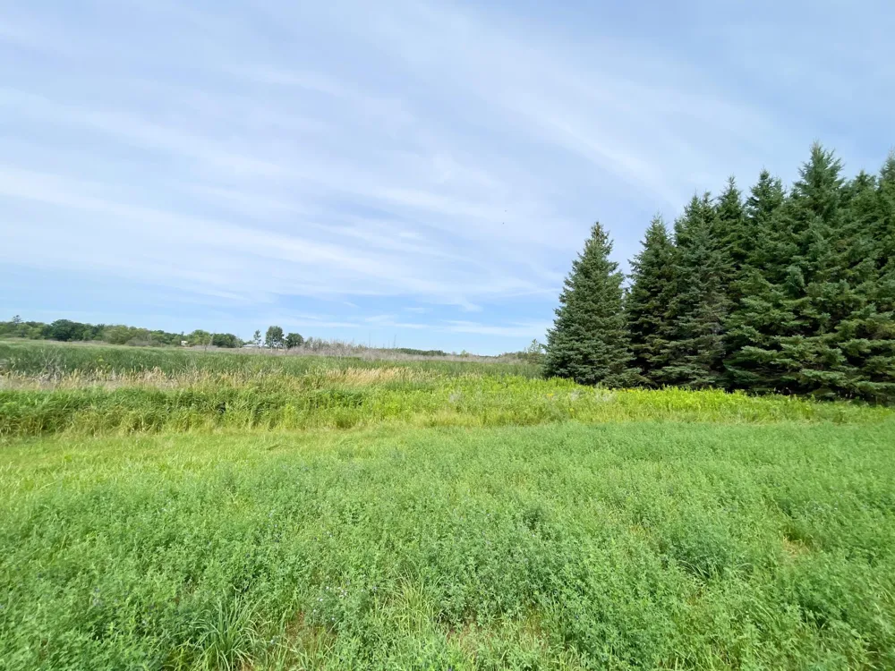 46635 S Pine Lake Road Gonvick, MN 56644