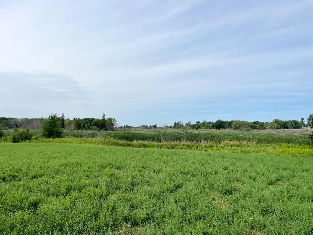 46635 S Pine Lake Road Gonvick, MN 56644