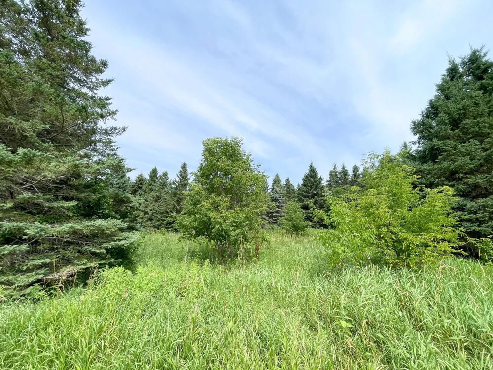 46635 S Pine Lake Road Gonvick, MN 56644