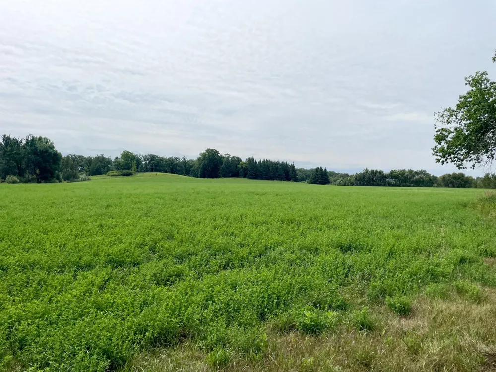 46635 S Pine Lake Road Gonvick, MN 56644