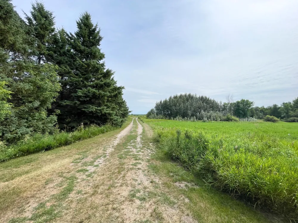 46635 S Pine Lake Road Gonvick, MN 56644