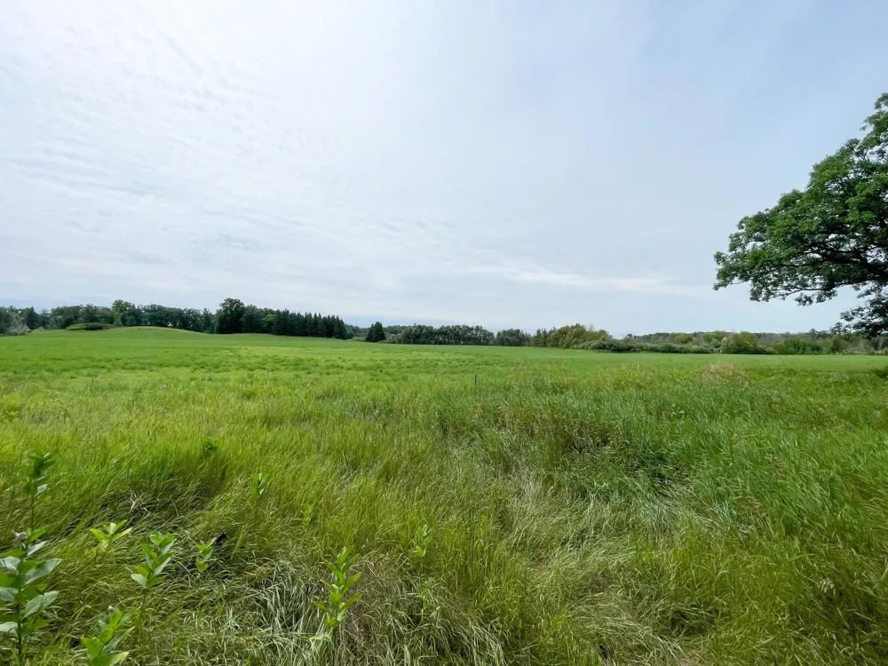 46635 S Pine Lake Road Gonvick, MN 56644