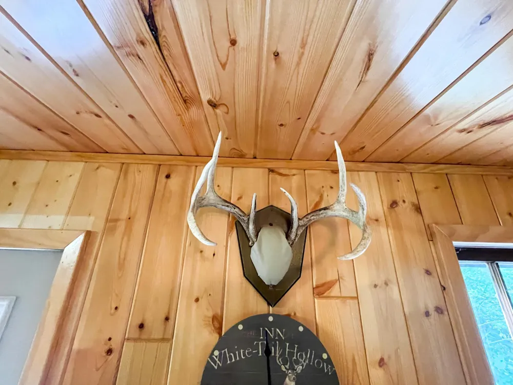 46635 S Pine Lake Road Gonvick, MN 56644