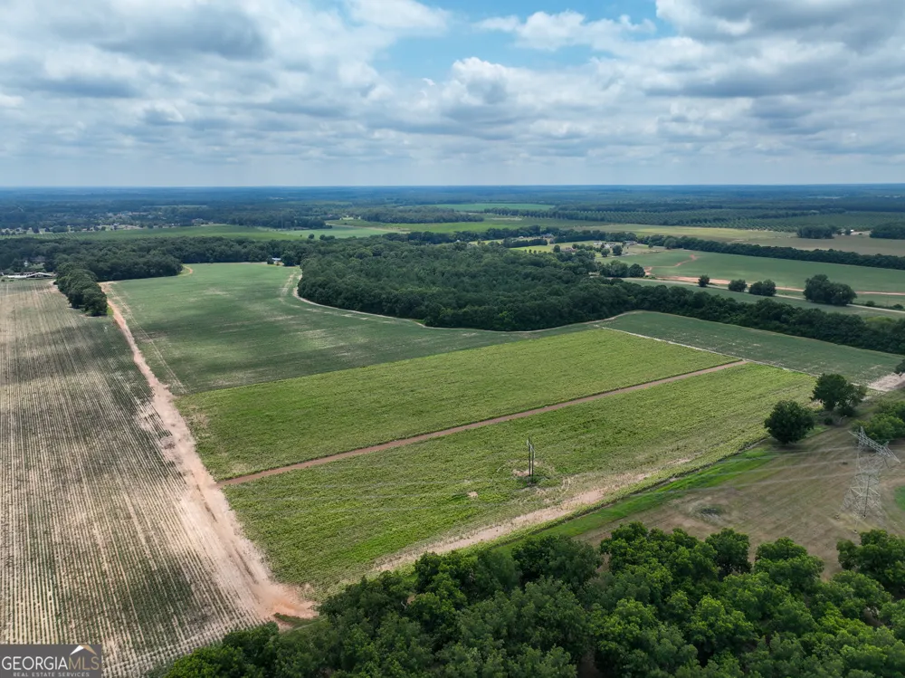 0 Highway 42 Byron, GA 31008