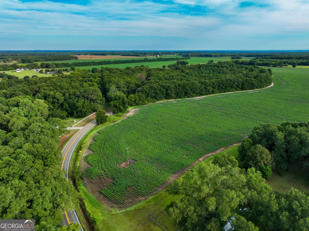 0 Highway 42 Byron, GA 31008