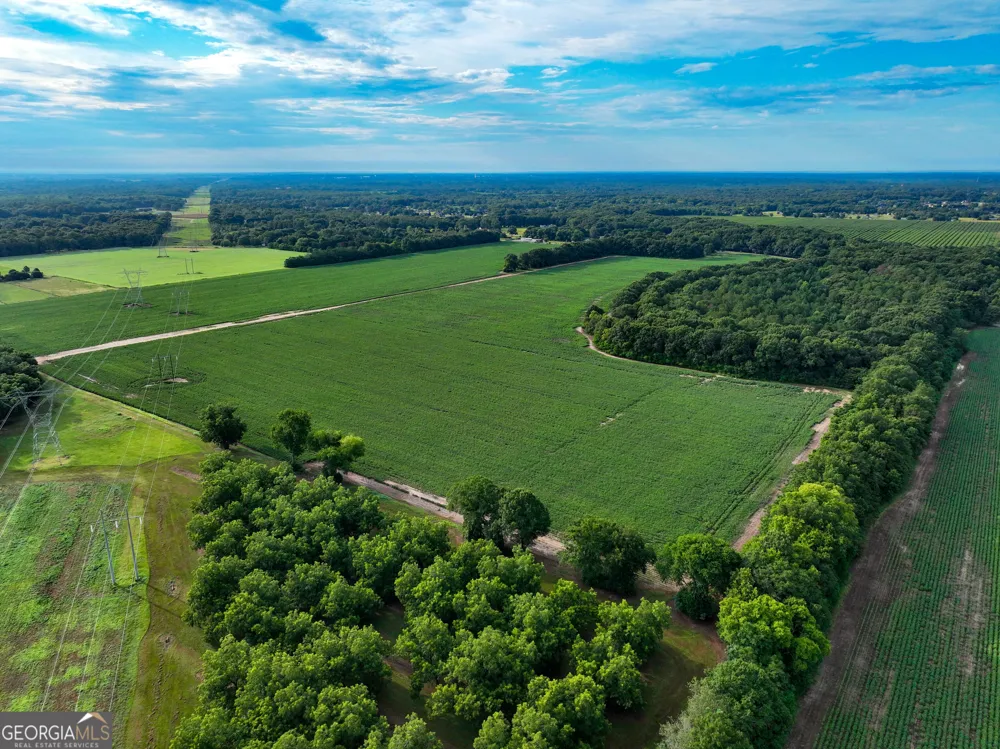 0 Highway 42 Byron, GA 31008