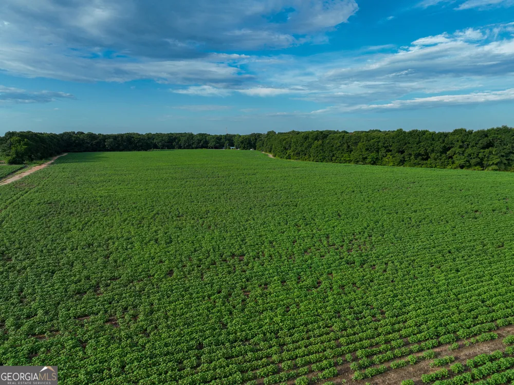 0 Highway 42 Byron, GA 31008