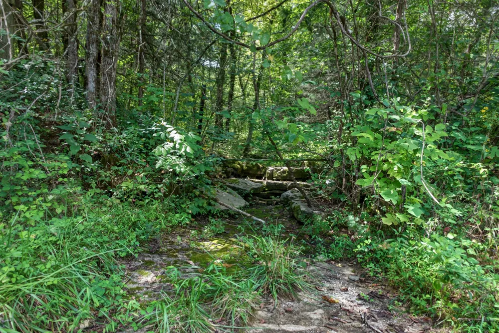 2949 Wilmouth Creek Rd Liberty, TN 37095