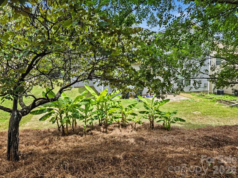 9835 Shearwater Avenue NW Concord, NC 28027
