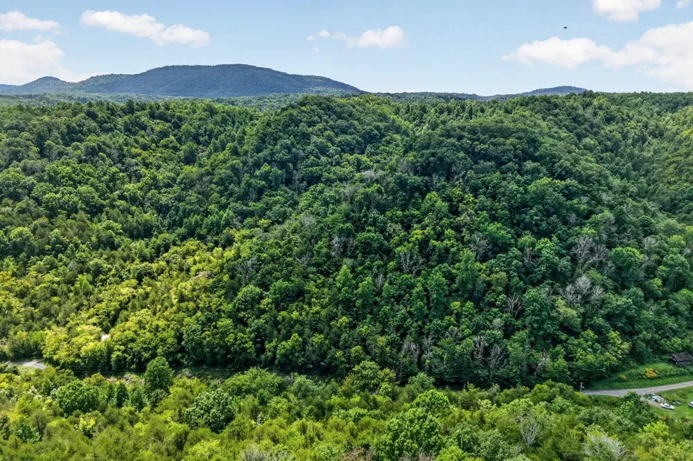 0 Turkey Branch Rd Liberty, TN 37095