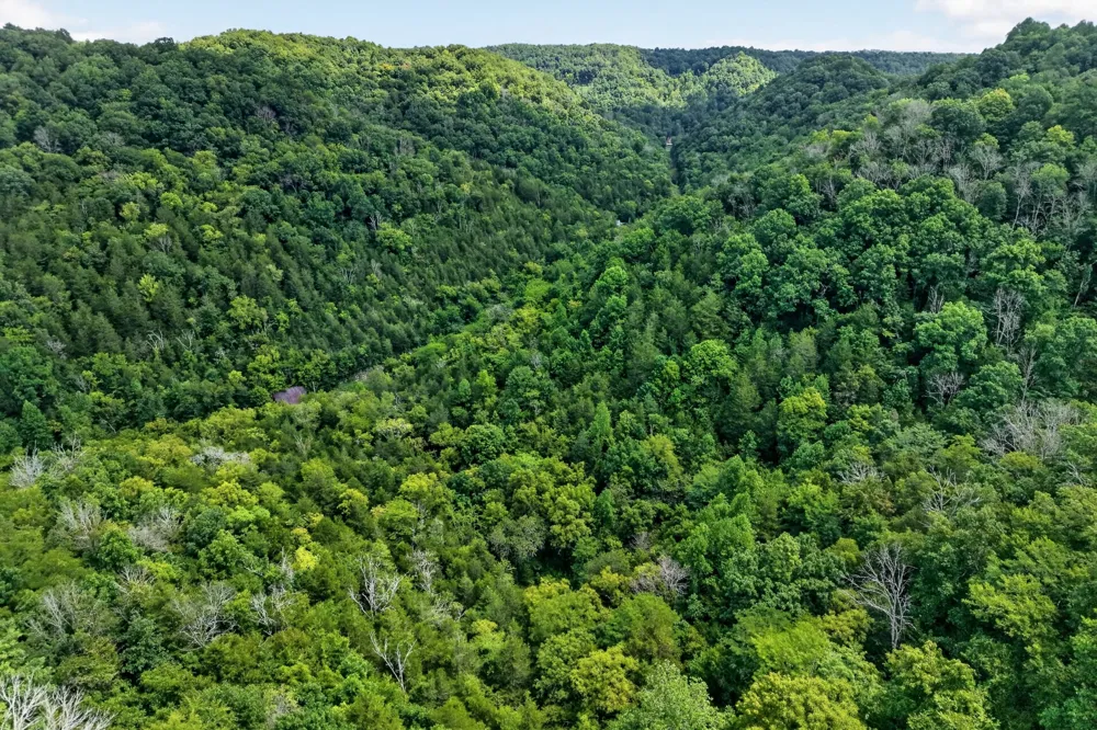 0 Turkey Branch Rd Liberty, TN 37095