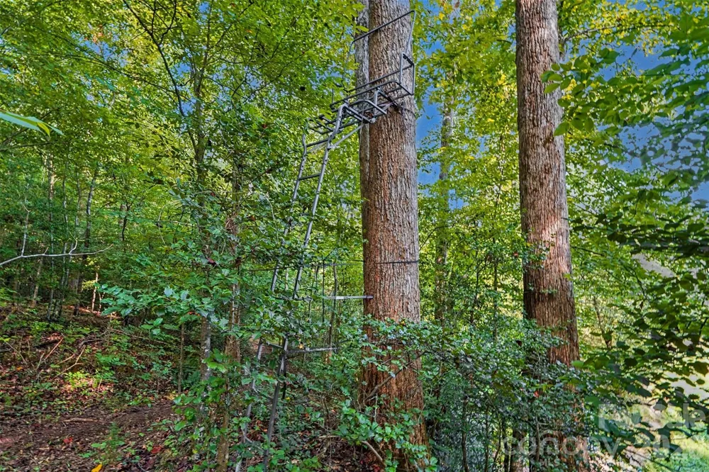 1206 Alberto Lane Stanley, NC 28164