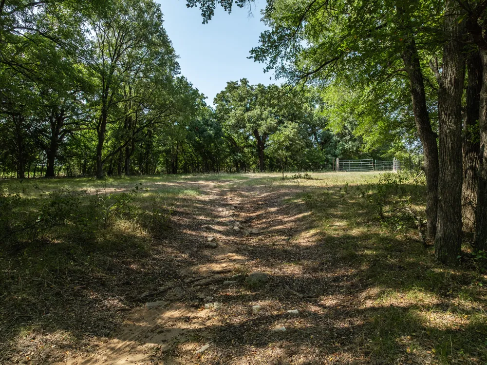 HCR 1314 Whitney, TX 76692