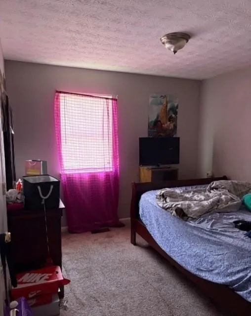 355 Lori Lane Riverdale, GA 30296