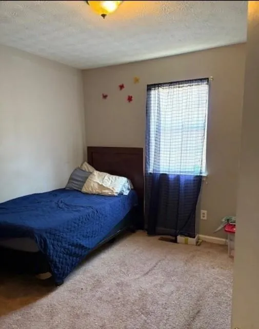 355 Lori Lane Riverdale, GA 30296