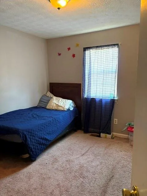 355 Lori Lane Riverdale, GA 30296
