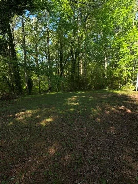 355 Lori Lane Riverdale, GA 30296