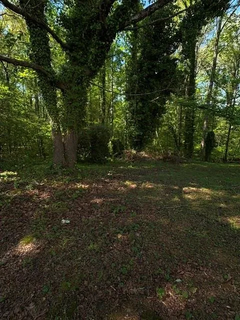 355 Lori Lane Riverdale, GA 30296