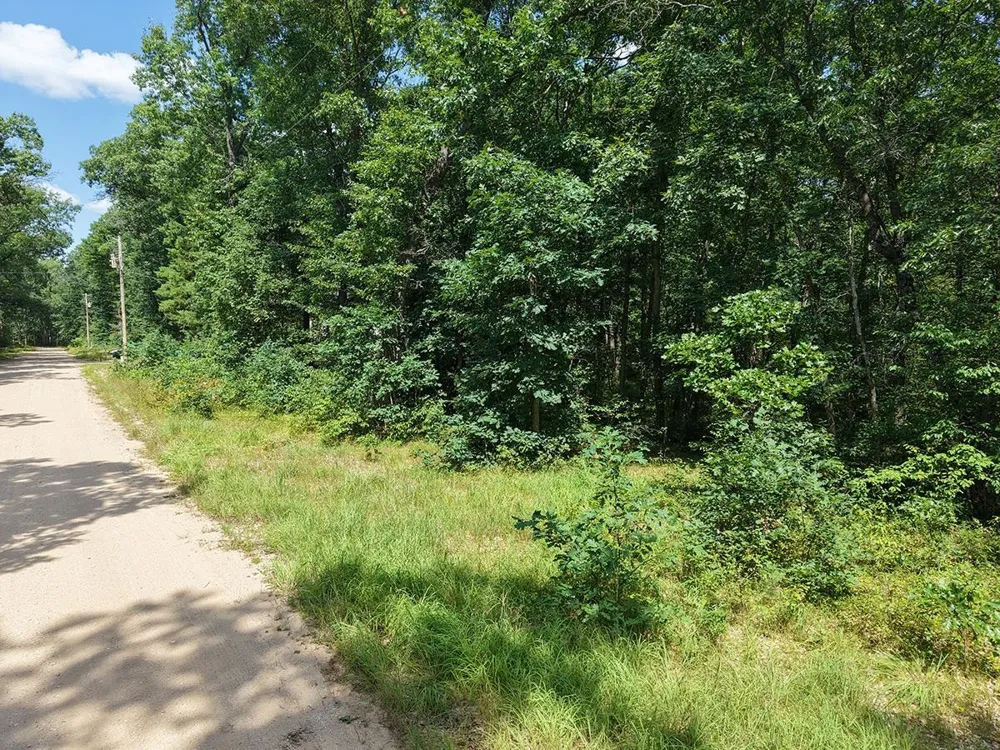 James Street Norman Township, MI 49689