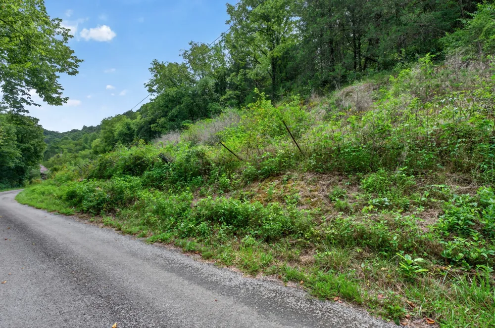 0 Wilmouth Creek Rd Liberty, TN 37095