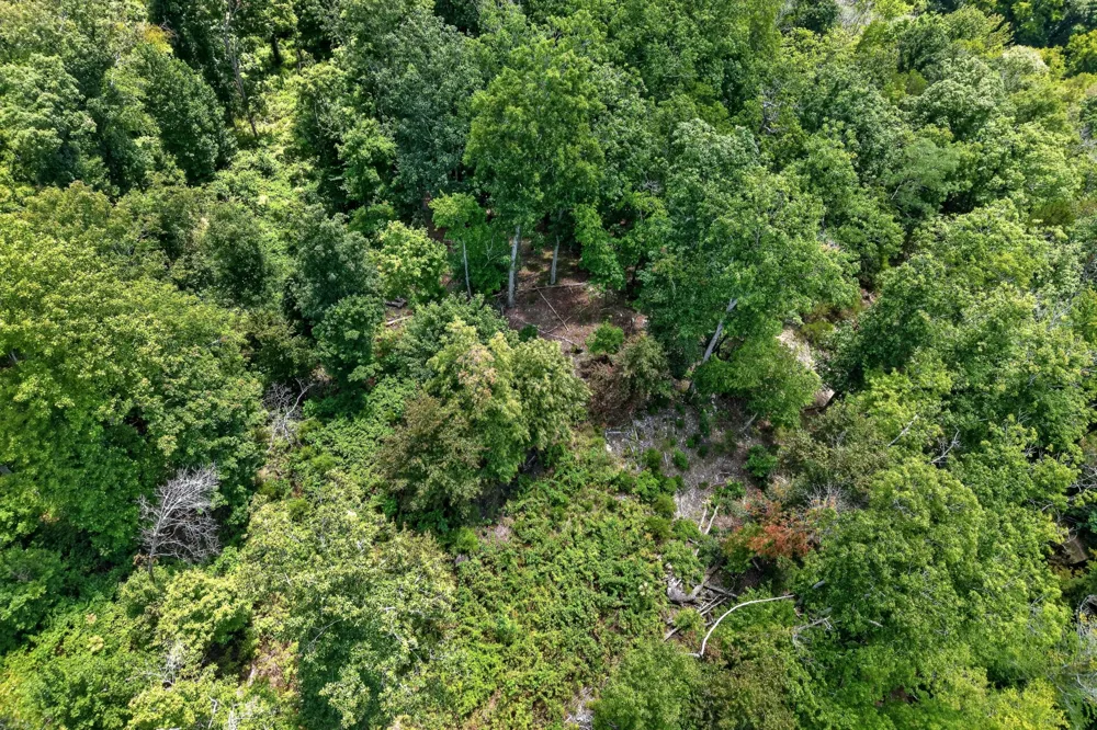0 Wilmouth Creek Rd Liberty, TN 37095