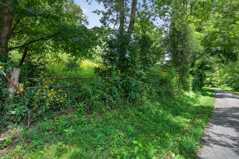 0 Wilmouth Creek Rd Liberty, TN 37095