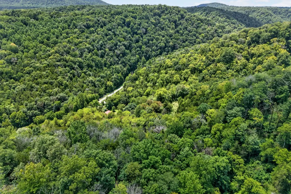 0 Wilmouth Creek Rd Liberty, TN 37095