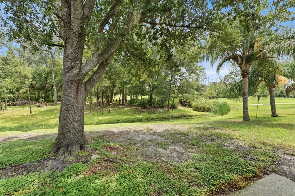 5852 AUTUMN SHIRE Zephyrhills, FL 33541