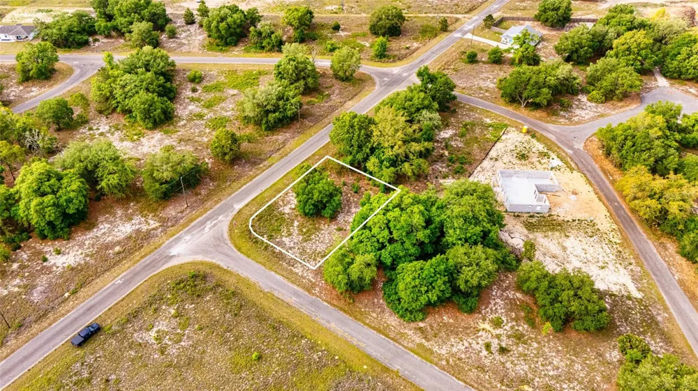 39 GUAVA TRACK Ocklawaha, FL 32179
