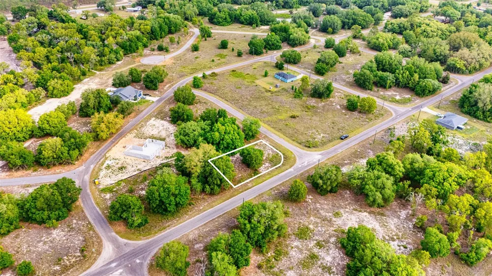 39 GUAVA TRACK Ocklawaha, FL 32179