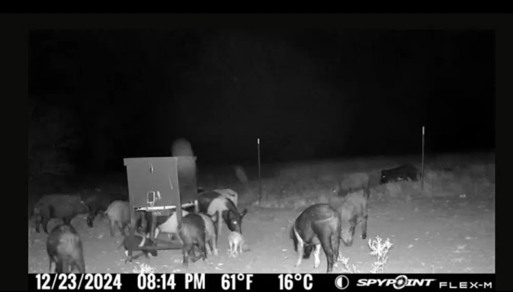 Georgia Pass Desdemona, TX 76445