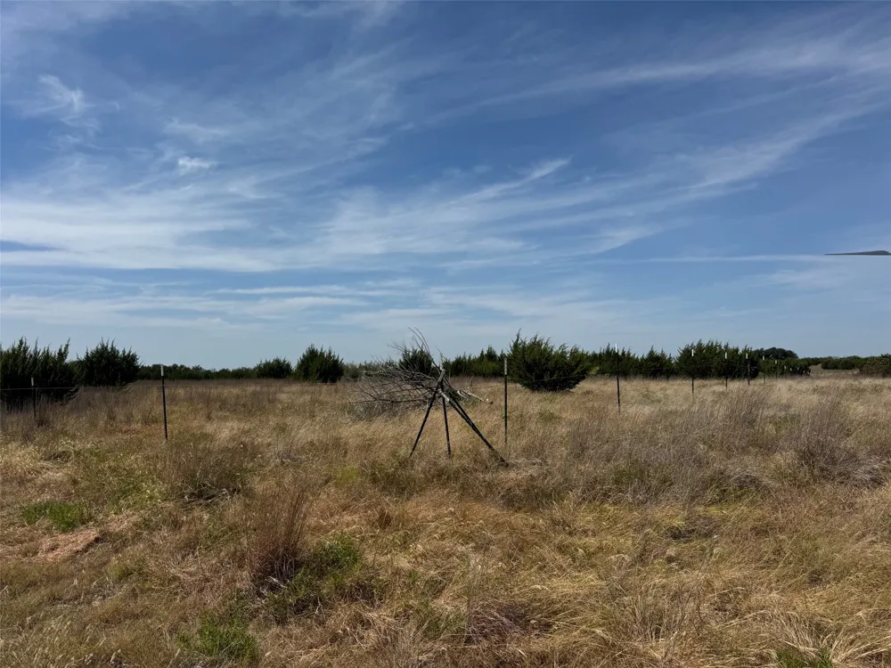 Georgia Pass Desdemona, TX 76445