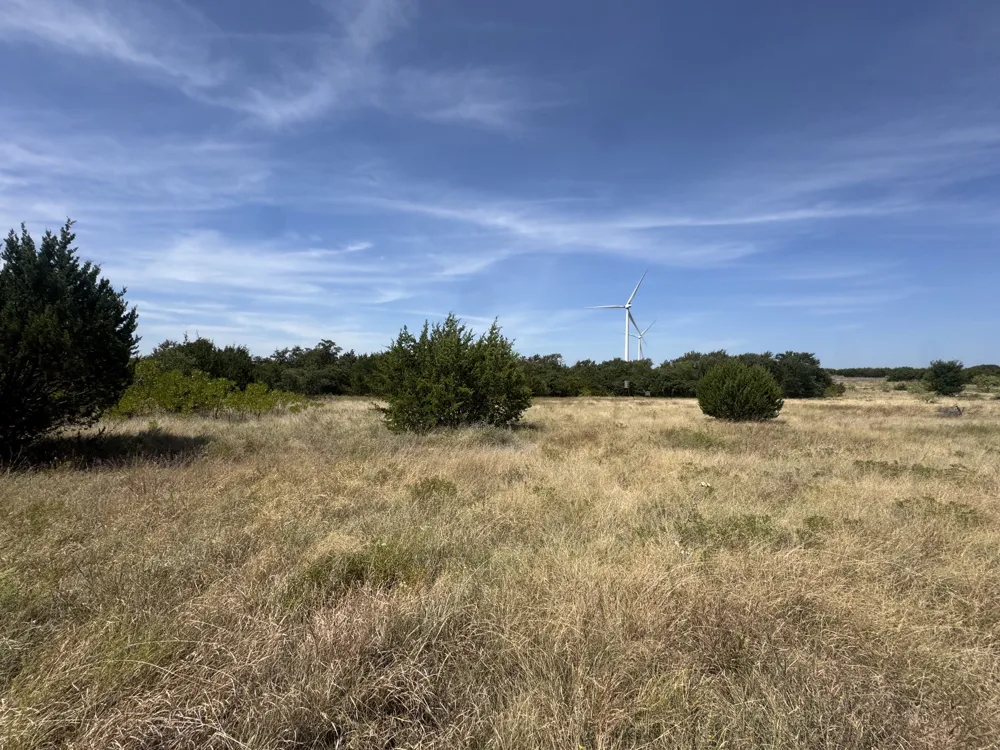 Georgia Pass Desdemona, TX 76445