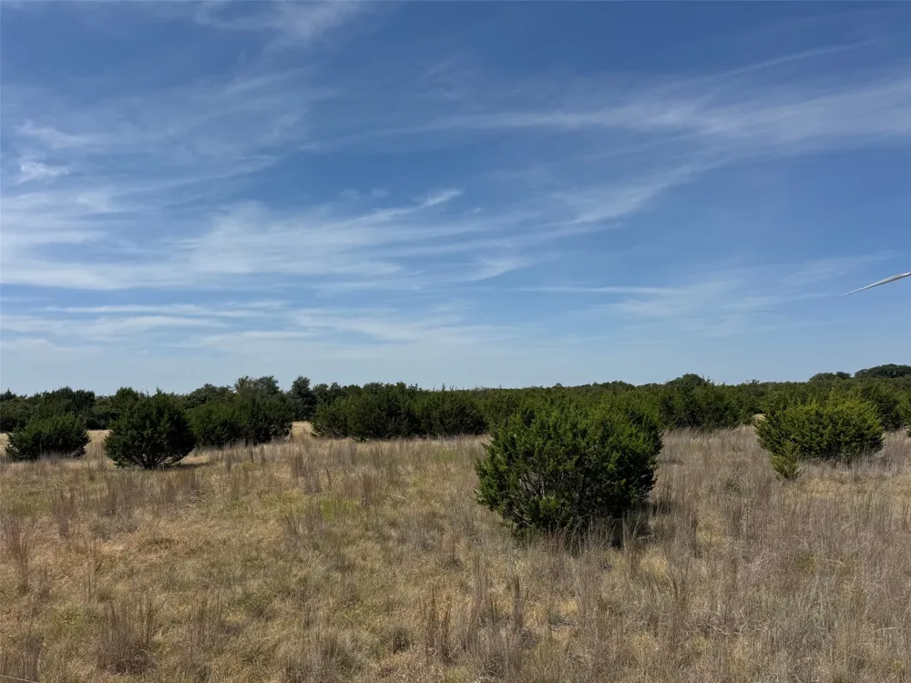 Georgia Pass Desdemona, TX 76445