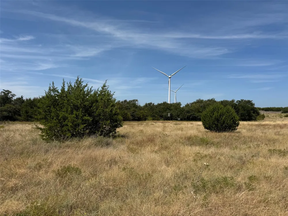 Georgia Pass Desdemona, TX 76445