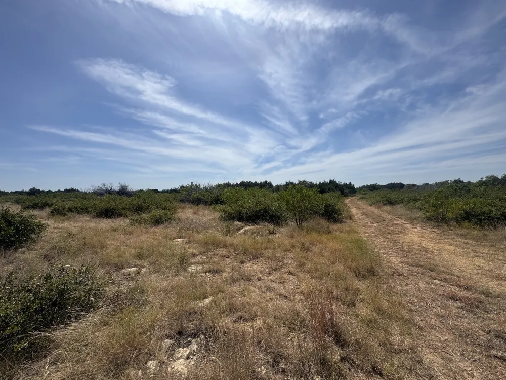 Georgia Pass Desdemona, TX 76445