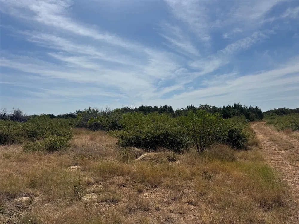 Georgia Pass Desdemona, TX 76445