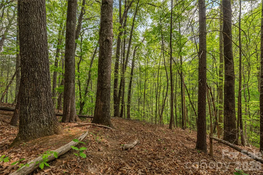 0000 Pressley Creek Road Cullowhee, NC 28723