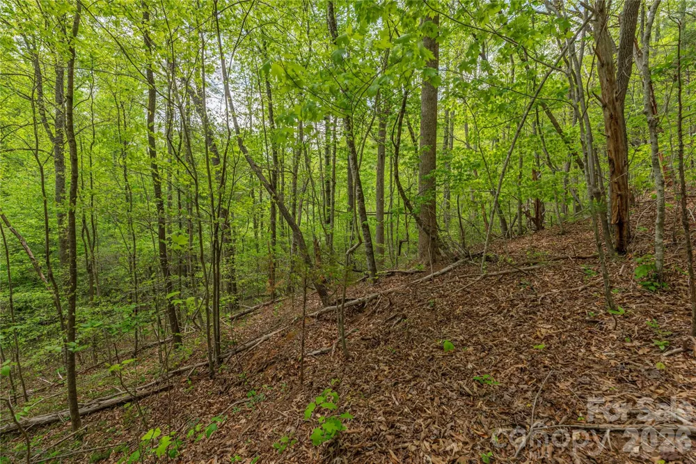 0000 Pressley Creek Road Cullowhee, NC 28723
