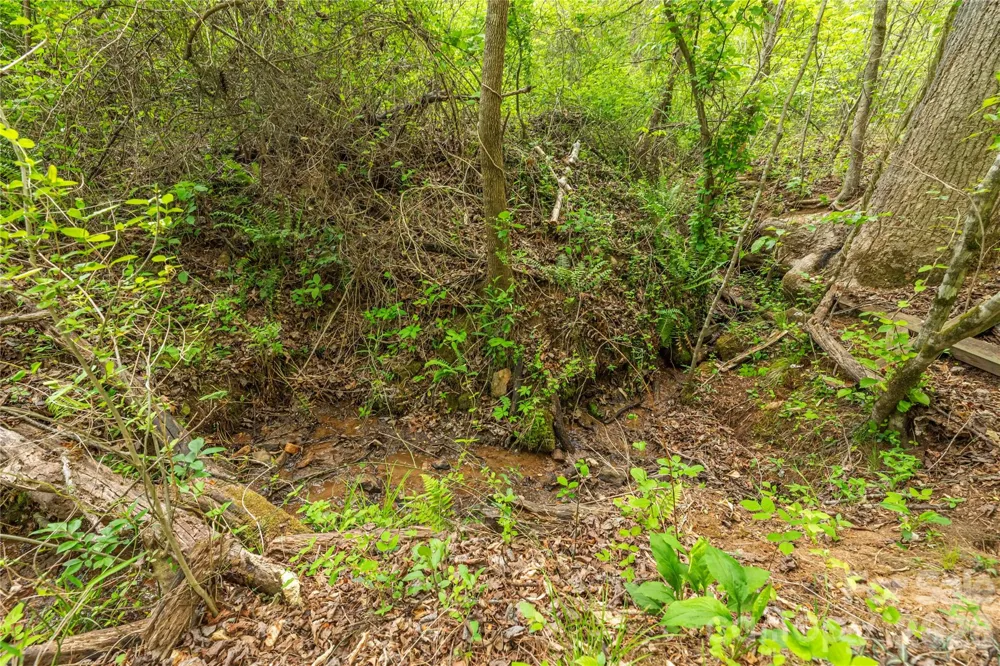0000 Pressley Creek Road Cullowhee, NC 28723