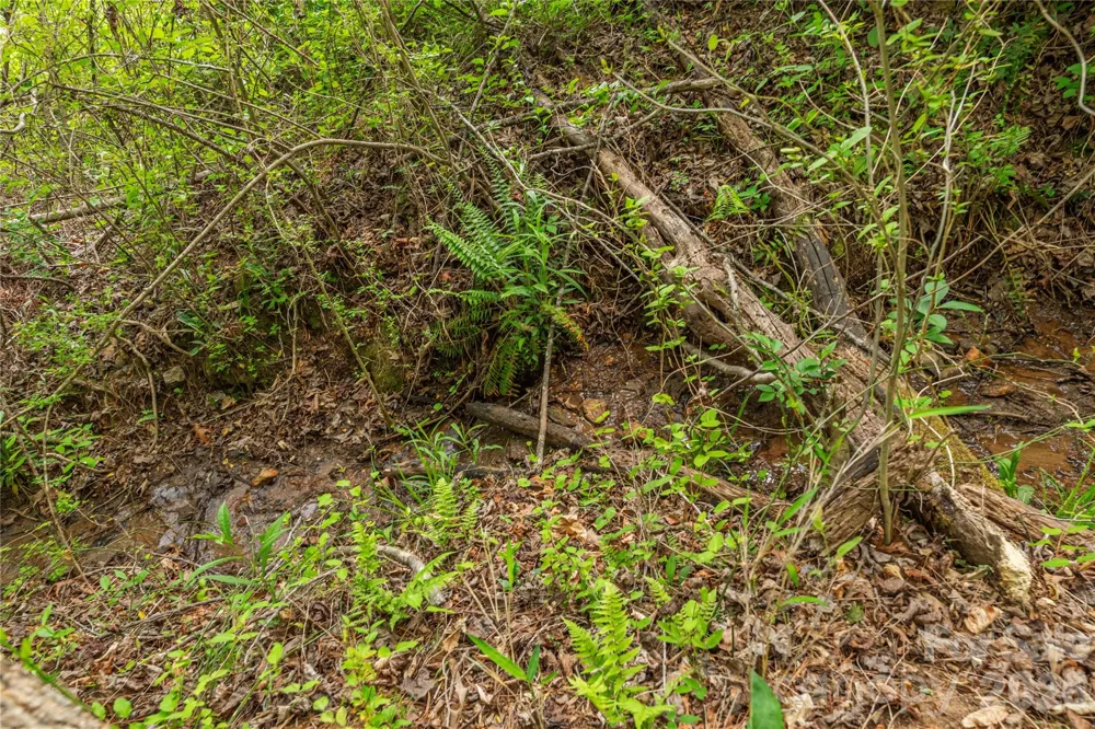 0000 Pressley Creek Road Cullowhee, NC 28723